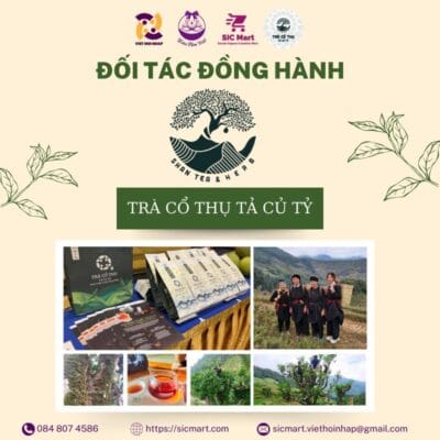 Hợp tác xã Tả Củ Tỷ